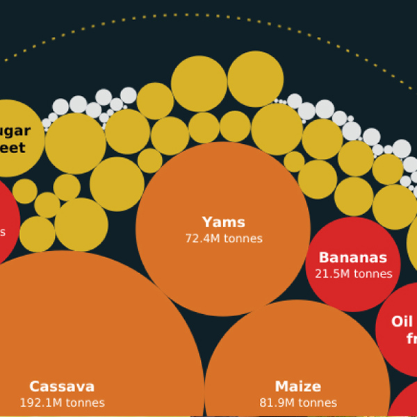 Crops Africa